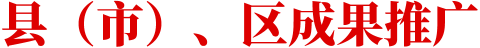 县（市）、区成果推广
